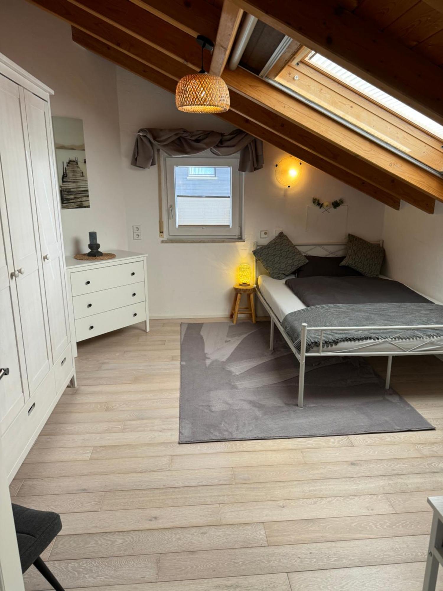 Spacy 3 Bedroom Plus Sleeping Couch Apartment Work&Travel Close To Heidelberg Dielheim エクステリア 写真
